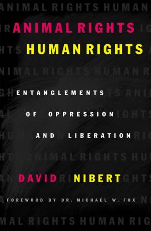 Cover of the book Animal Rights/Human Rights by David Ingram