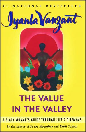 Cover of the book Value in the Valley by Michael Soluri