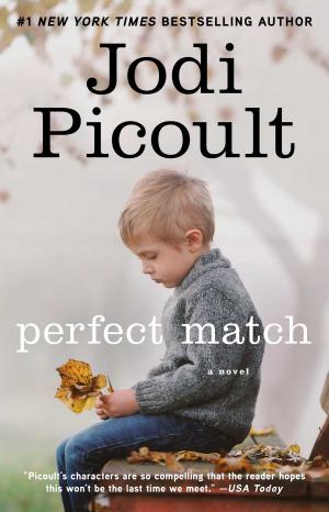 Cover of the book Perfect Match by Rebecca Brae