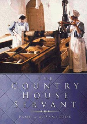 Cover of the book Country House Servant by David Brandon, Alan Brooke