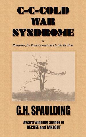Cover of the book C-C-Cold War Syndrome Or, Remember, It's Break Ground and Fly into the Wind by Vanessa W. Bonner