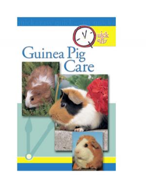 Cover of the book Quick and Easy Guinea Pig Care by Bobbye Land
