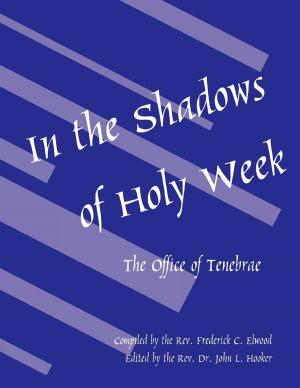 Cover of the book In the Shadows of Holy Week by John H. Westerhoff III, Sharon Ely Pearson