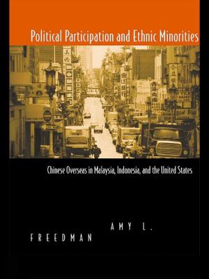 Book cover of Political Participation and Ethnic Minorities