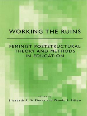 Cover of the book Working the Ruins by Michael Eraut