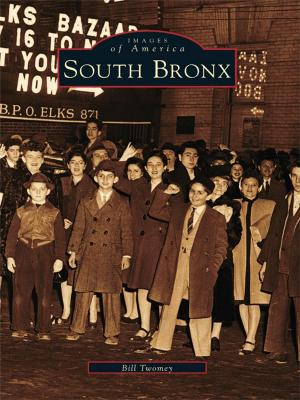 Cover of the book South Bronx by Fern K. Meyers, James B. Atkinson