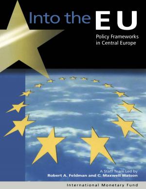 Cover of the book Into the EU: Policy Frameworks in Central Europe by International Monetary Fund. Research Dept.