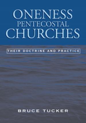 Cover of the book Oneness Pentecostal Churches by Verena Berger