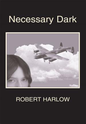 Cover of the book Necessary Dark by Geraldine Cool