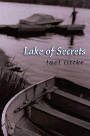 Cover of the book Lake of Secrets by Clare B. Dunkle