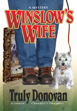 Cover of the book Winslow's Wife by Don Nix J.D. Ph.D.