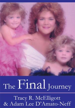 Cover of the book The Final Journey by Jeffrey A. Weisz MD, Susan Albers Mohrman, Arienne McCracken