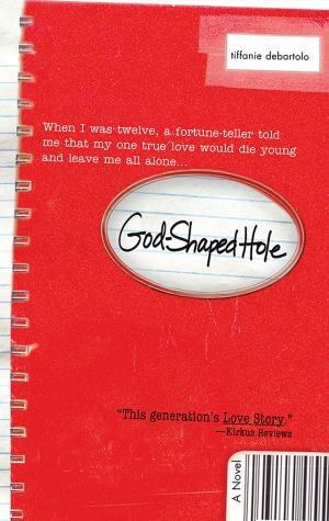 Cover of the book God Shaped Hole by Marissa Moss