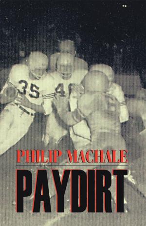 Book cover of Paydirt