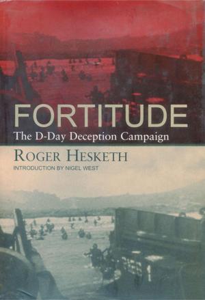 Cover of the book Fortitude by Andrea Beaty
