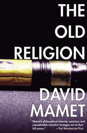 Cover of the book The Old Religion by Andrea Beaty