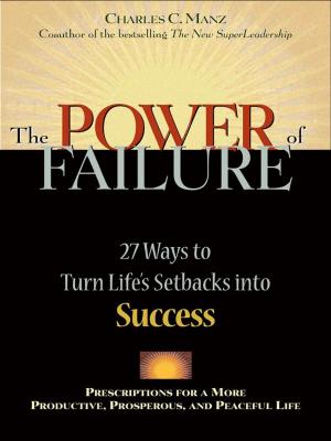 Cover of the book The Power of Failure by Brian Irwin PMP, MSM