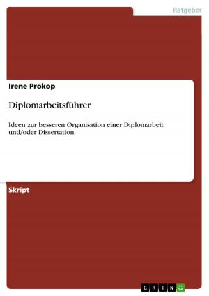 Cover of the book Diplomarbeitsführer by Nina Downer Grenald