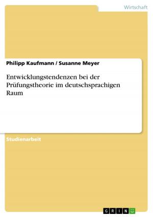 Cover of the book Entwicklungstendenzen bei der Prüfungstheorie im deutschsprachigen Raum by Florian Schoemer