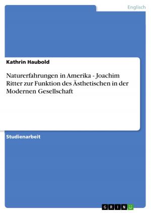 Cover of the book Naturerfahrungen in Amerika - Joachim Ritter zur Funktion des Ästhetischen in der Modernen Gesellschaft by Lena Metzing