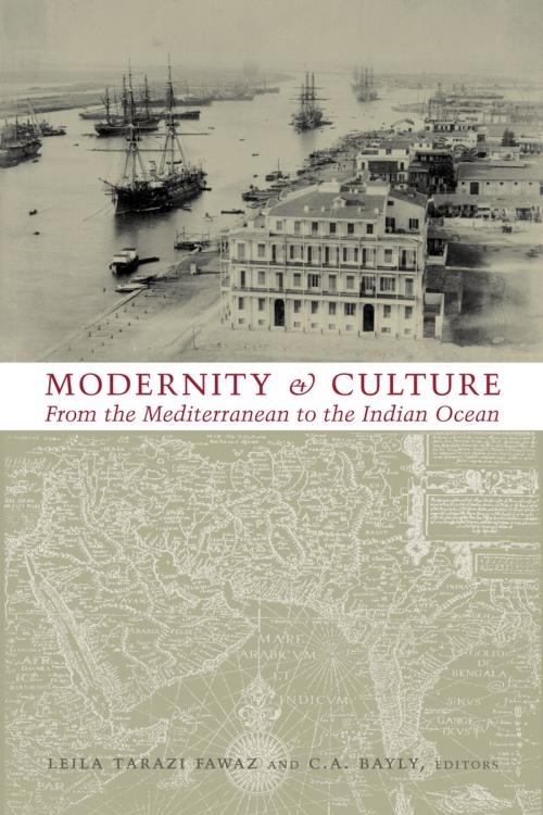 Cover of the book Modernity and Culture by , Columbia University Press