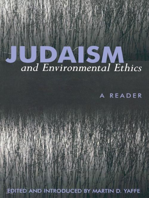 Cover of the book Judaism And Environmental Ethics by , Lexington Books