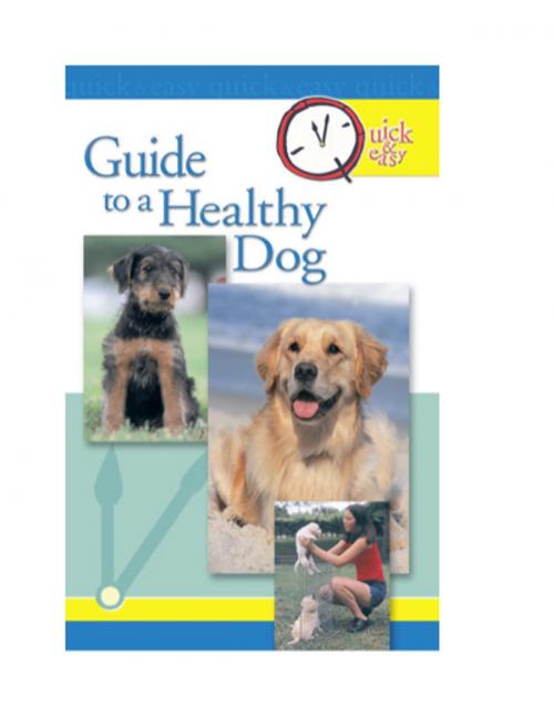 Cover of the book Quick & Easy Guide to a Healthy Dog by Pet Experts at TFH, TFH Publications, Inc.