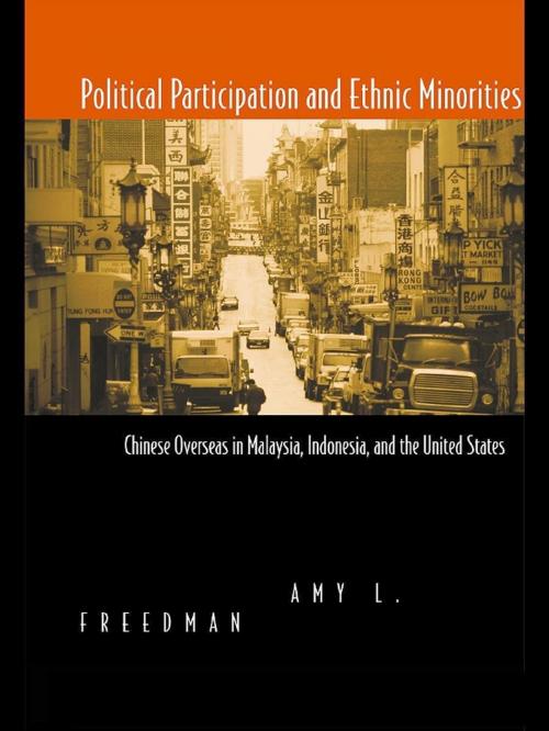 Cover of the book Political Participation and Ethnic Minorities by Amy L. Freedman, Taylor and Francis