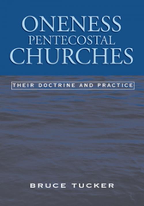 Cover of the book Oneness Pentecostal Churches by Bruce Tucker, Xlibris US