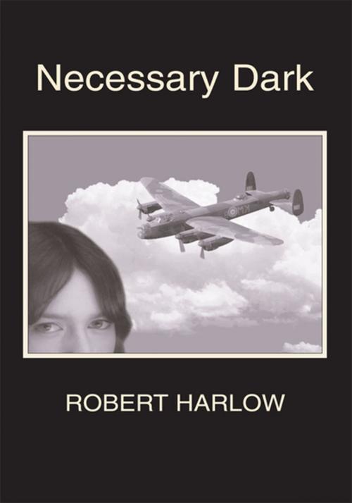 Cover of the book Necessary Dark by Robert Harlow, Xlibris US