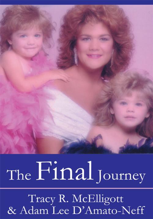 Cover of the book The Final Journey by Adam Lee D'Amato-Neff, Tracy R. McElligott, iUniverse