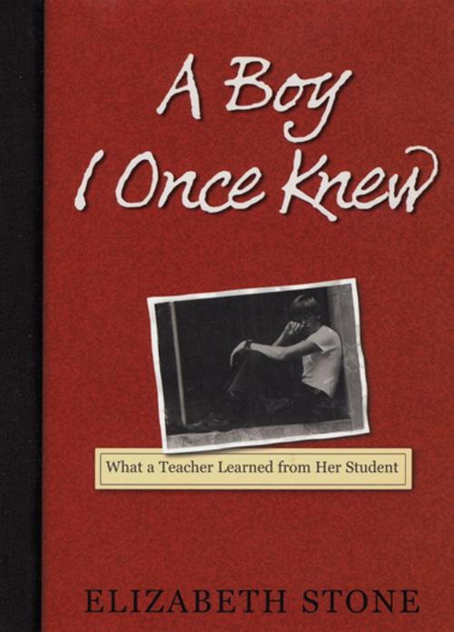 Cover of the book A Boy I Once Knew by Elizabeth Stone, Workman Publishing