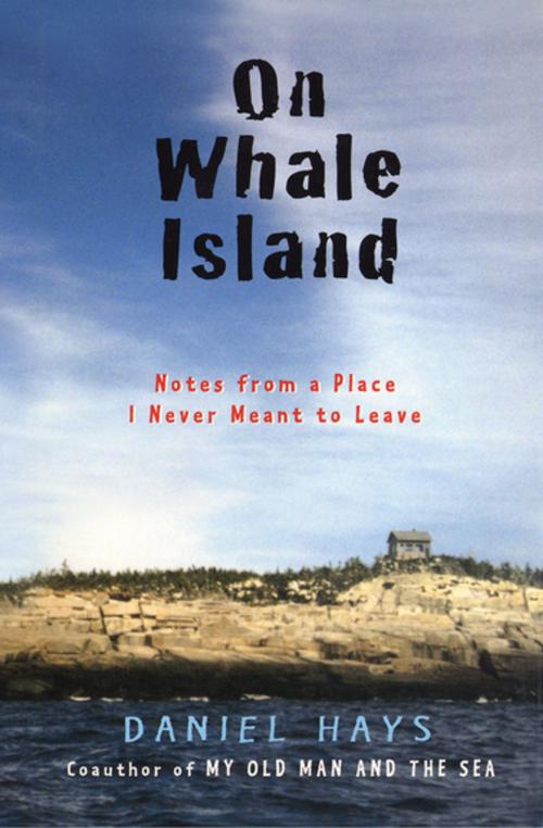 Cover of the book On Whale Island by Daniel Hays, Workman Publishing