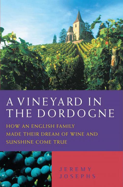 Cover of the book A Vineyard in the Dordogne by Jeremy Josephs, John Blake