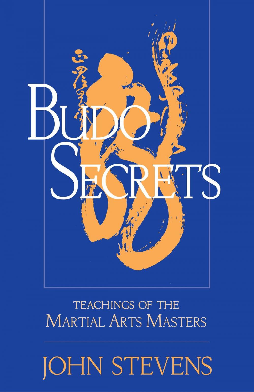 Big bigCover of Budo Secrets