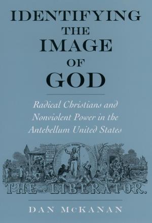 Book cover of Identifying the Image of God