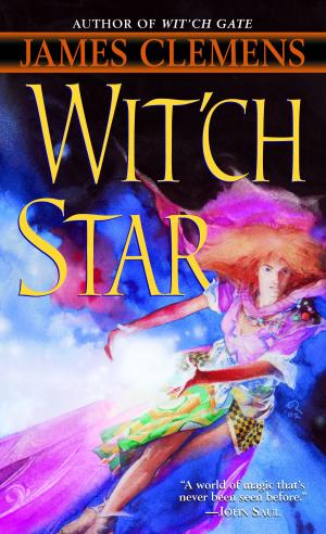 Cover of the book Wit'ch Star by Karen Traviss