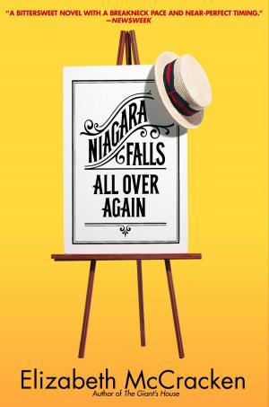 Cover of the book Niagara Falls All Over Again by Anne Perry