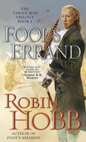 Cover of the book Fool's Errand by Sue Perry
