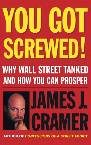 Cover of the book You Got Screwed! by Deborah Kolb, Ph.D., Judith Williams, Ph.D.