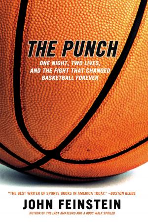 Cover of the book The Punch by Peter Orner