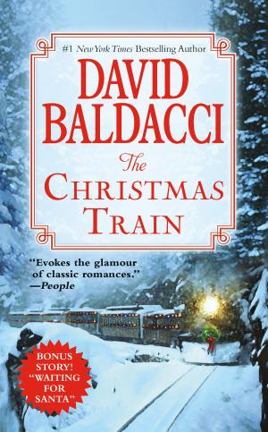 Cover of the book The Christmas Train by Rip Esselstyn