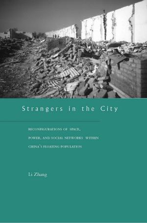 Book cover of Strangers in the City
