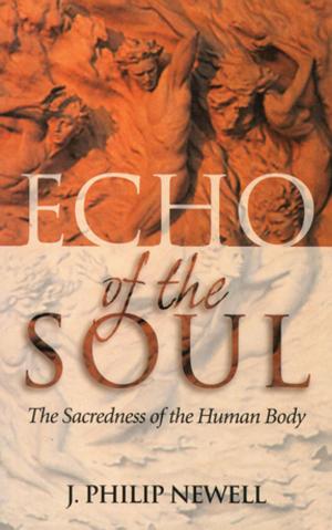 Cover of the book Echo of the Soul by Amit Ray