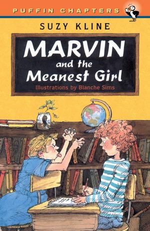 Book cover of Marvin and the Meanest Girl