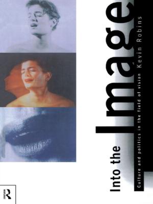 Cover of the book Into the Image by Andrew J. Williams, Amelia Hadfield, J. Simon Rofe
