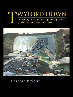 Cover of the book Twyford Down by Anne-Laure Fayard, Anca Metiu