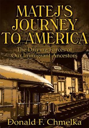 Cover of the book Matej's Journey to America by Regina Knox