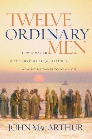 Cover of the book Twelve Ordinary Men by John F. MacArthur