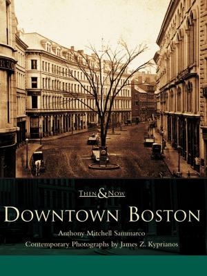 Cover of the book Downtown Boston by Desert Hot Springs Historical Society
